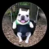 亗David_xz 亗 - @davidmand3 - TikTok