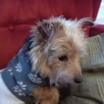 David Manders - @manders_d8100737 - Instagram