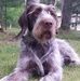 Dave Manecke - Facebook