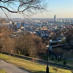 David - @david.manescu - Instagram