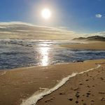 David Maney - @david_maney62 - Instagram