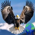 David Mange - Facebook