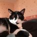 David Mangin - Facebook