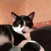 davidmangin365 - @davidmangin365 - TikTok