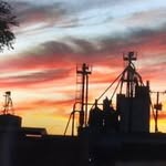 David Mangold - @txfarmstore_lacoste - Instagram