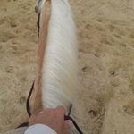David Mangold - @idbropn - Instagram