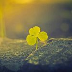 David Mangold - @david.mangold - Instagram