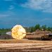 Sfc David Mangold - Facebook
