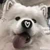 david manh - @davidmanh7 - TikTok
