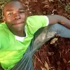 David Imani - @davidimani142 - TikTok