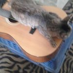 David Manka - @dmanka84 - Instagram