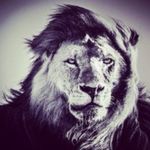 DAVID MANKA - @manka1350 - Instagram