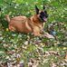 David Mankamyer - Facebook