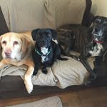 David Manna - @mannas_bananas - Instagram