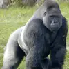 david.manney - @david.manney - TikTok