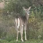 David Manninen - @david_manninen - Instagram