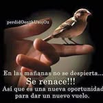 David Manoat - @davidmanoat - Instagram