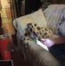 David Manship - Facebook