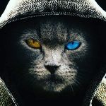 david_manso# - @david_manso7949 - Instagram