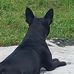 David Manso - Facebook