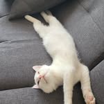David Mantelet - @manteletdavid - Instagram