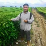 David Nicola Manullang - @davidnicolam - Instagram