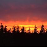 David S. Manwaring - @chemistry.tryhard - Instagram