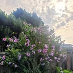 David Mapes - @david.mapes.902 - Instagram