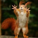 David Maple - @heat_maple - Instagram