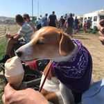 David Maple - @david.maple.90 - Instagram