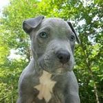 David Maples - @dcmaples08 - Instagram