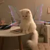 David Markarian - @davidmarkarian7065 - TikTok