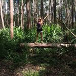 David Markel - @ingridmumpena - Instagram