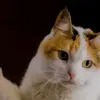 David Markel - @david.markel0 - TikTok