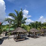 David Markel - @dm.tropicallandscapingservices - Instagram