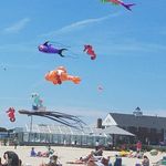 David Markowitz - @dpm62655 - Instagram