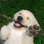 David Marlin - @davidmarlin001 - Instagram