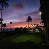 David Marlin - @david.marlin2 - TikTok