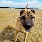 David Marquet - @david.marquet.37 - Instagram