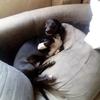 David Marquet - @david.marquet6 - TikTok