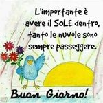 David Darom Marrone - @daroma7788 - Instagram