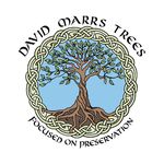 David Marrs - @david_marrs_trees - Instagram