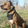David Marrs - @davidmarrs8249 - TikTok