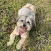 David marson - @david.marson6 - TikTok