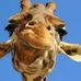David Marta - Facebook