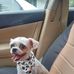 David Martz - Facebook
