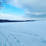 David Marzi - @lol123gajof - Instagram