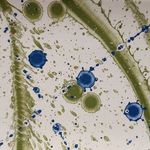 David Mason - @davidmasonpottery - Instagram