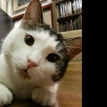 David Mason Books - @davidmasonbooks - Instagram