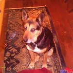 David Michael Massengill - @massengilldavid - Instagram